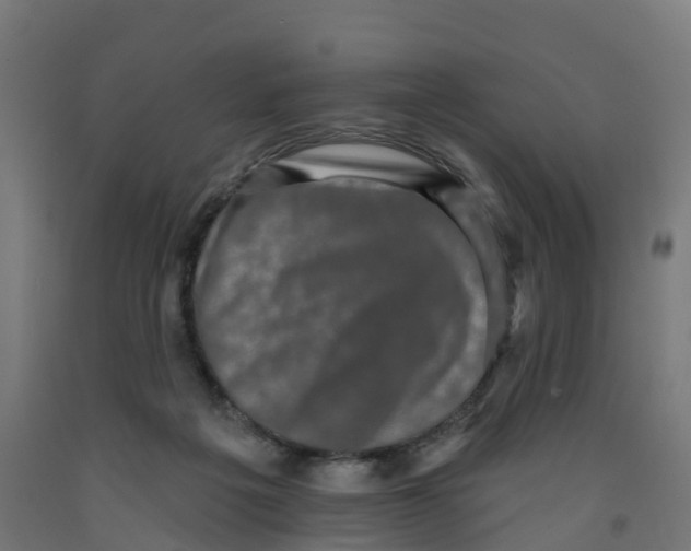 X0000091890217200710031809