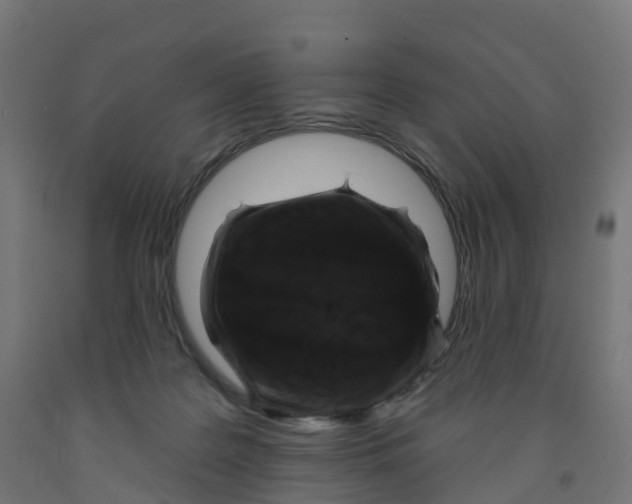 X0000091890219200710031809