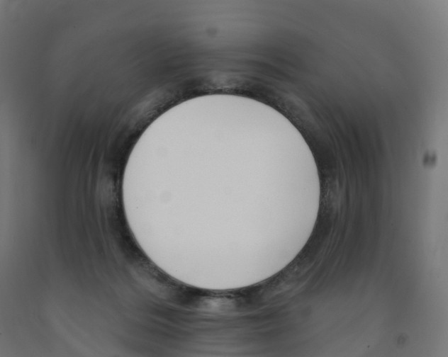 X0000091890220200710031809