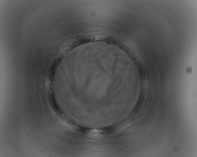 X0000091890222200710031809