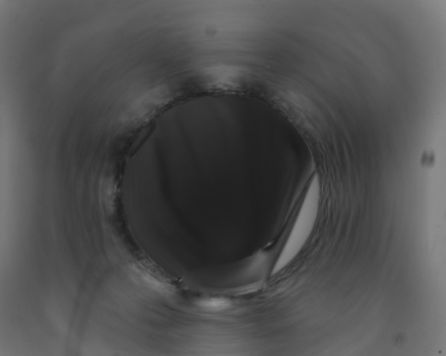 X0000091890223200710031809