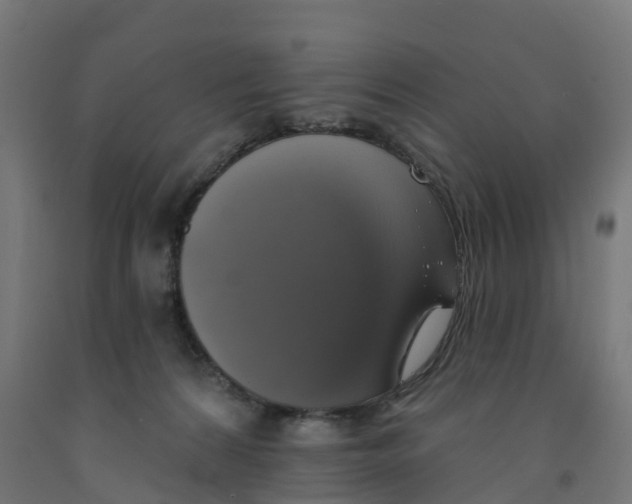X0000091890224200710031809