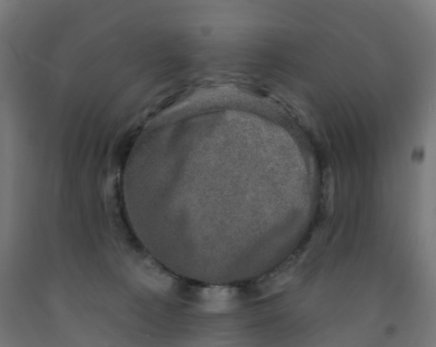 X0000091890225200710031809