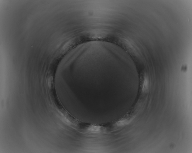 X0000091890227200710031809