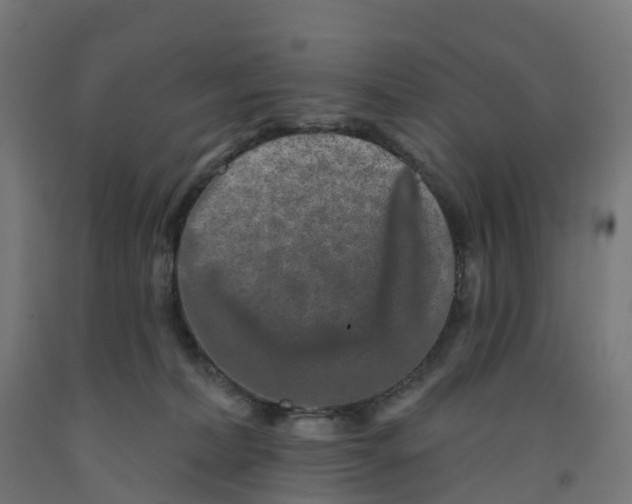 X0000091890228200710031809
