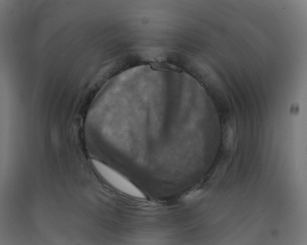 X0000091890229200710031809