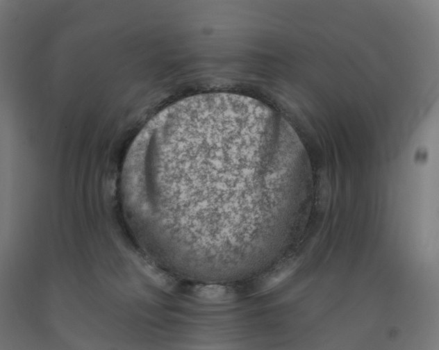 X0000091890230200710031809