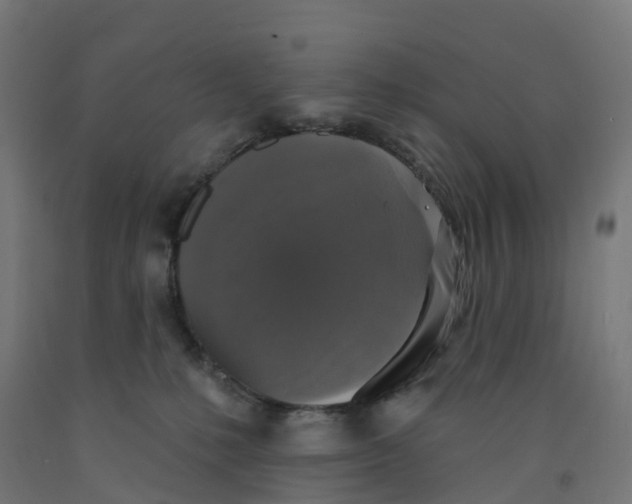 X0000091890231200710031809