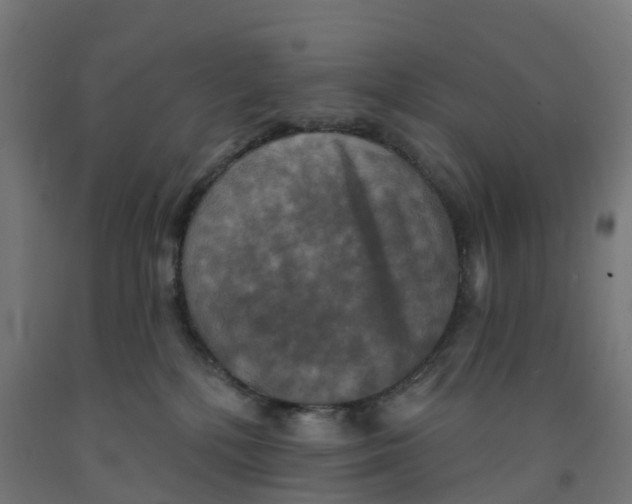 X0000091890232200710031809