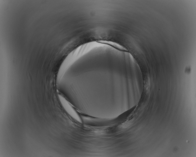 X0000091890233200710031809