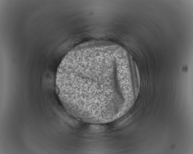 X0000091890234200710031809