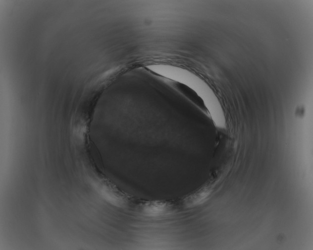 X0000091890235200710031809