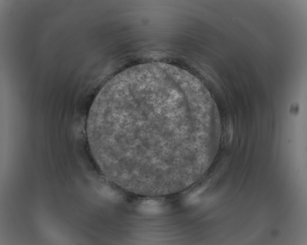 X0000091890236200710031809