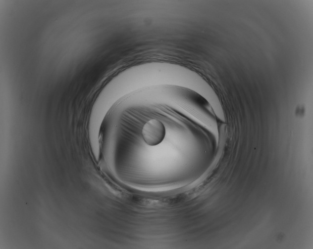 X0000091890239200710031809
