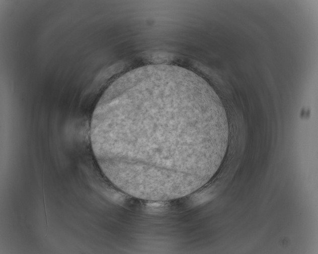 X0000091890240200710031809