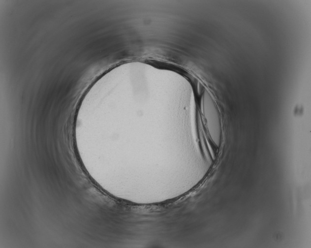 X0000091890241200710031808