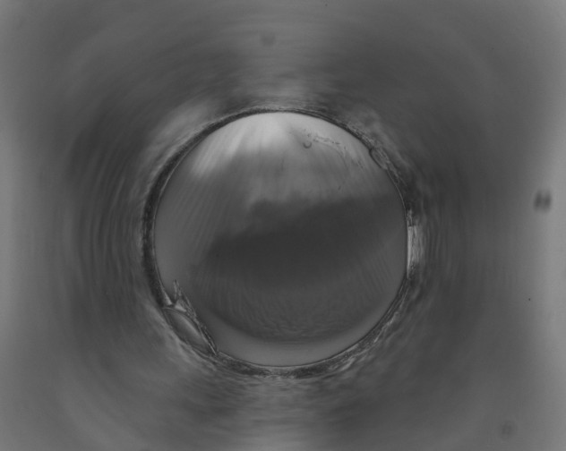 X0000091890243200710031808