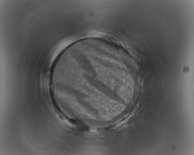 X0000091890244200710031808
