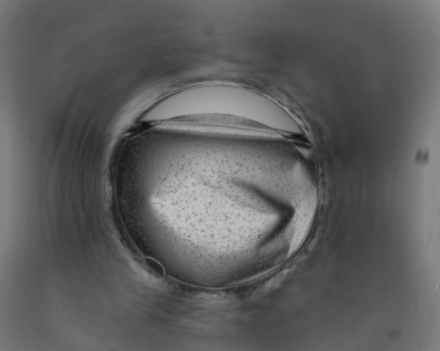 X0000091890245200710031808