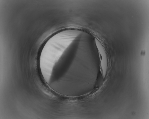 X0000091890247200710031808