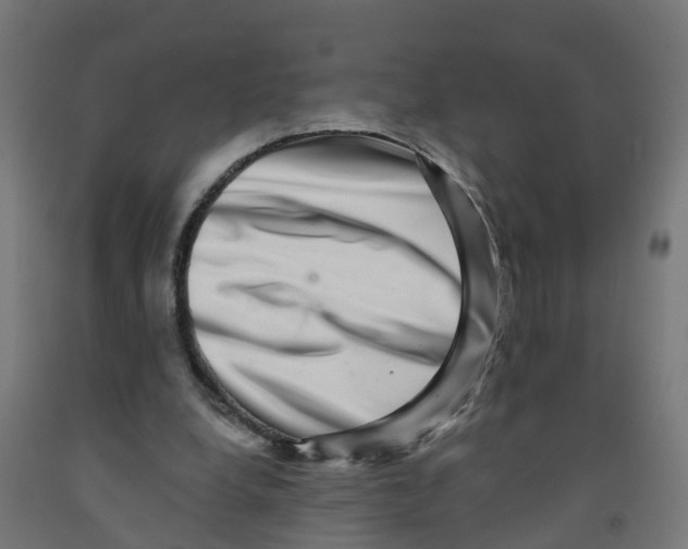 X0000091890248200710031808