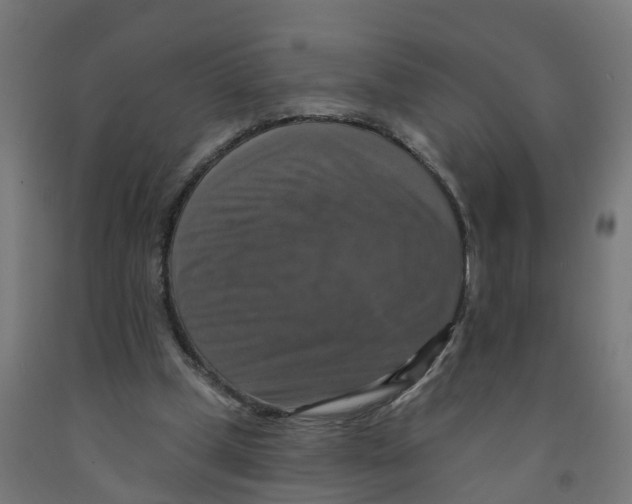 X0000091890249200710031808