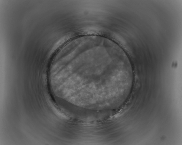 X0000091890250200710031808