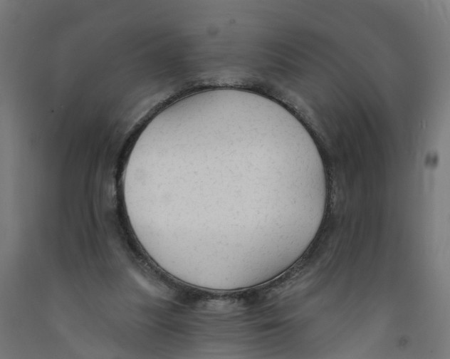 X0000091890251200710031808
