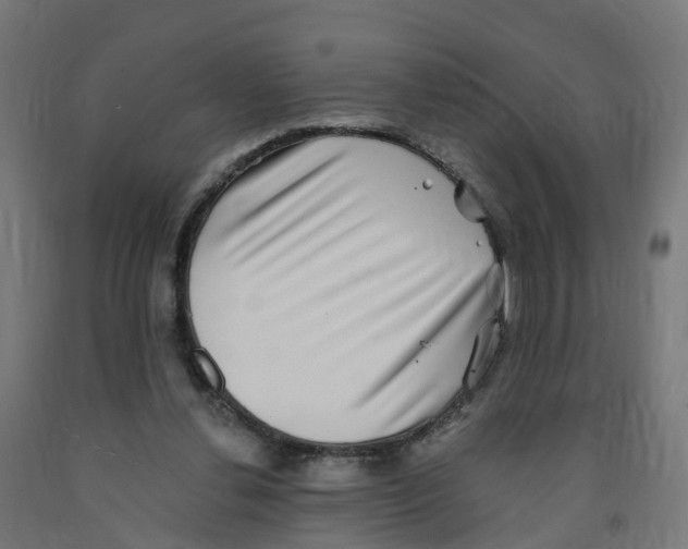 X0000091890252200710031808