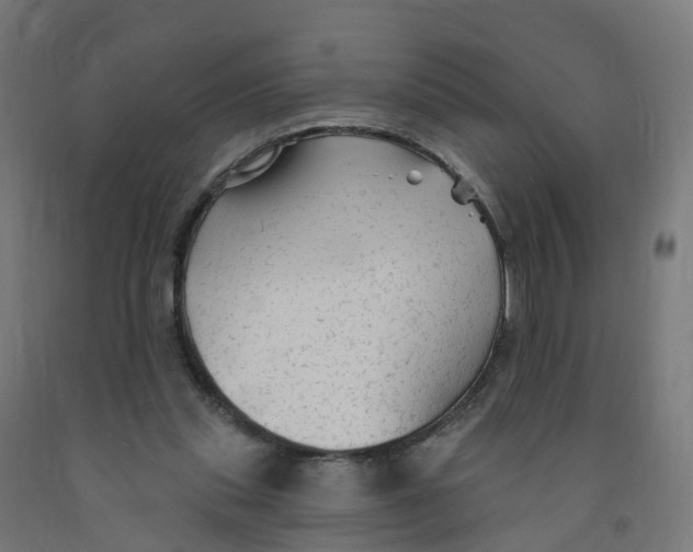 X0000091890253200710031808
