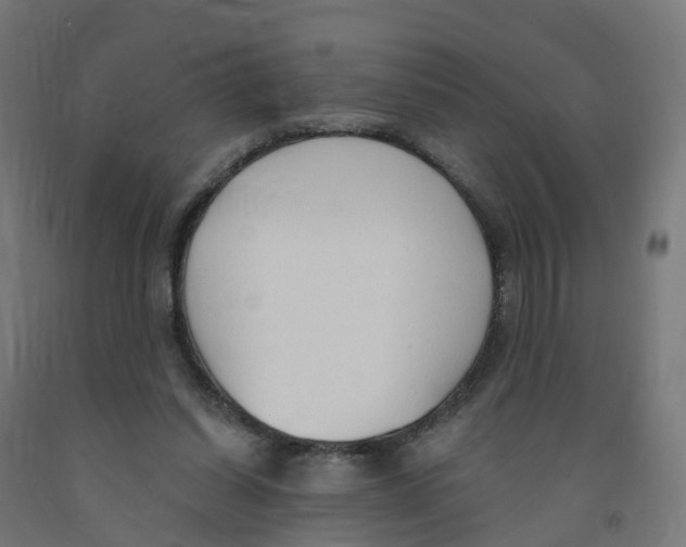 X0000091890254200710031808