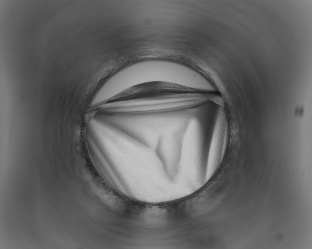 X0000091890257200710031808