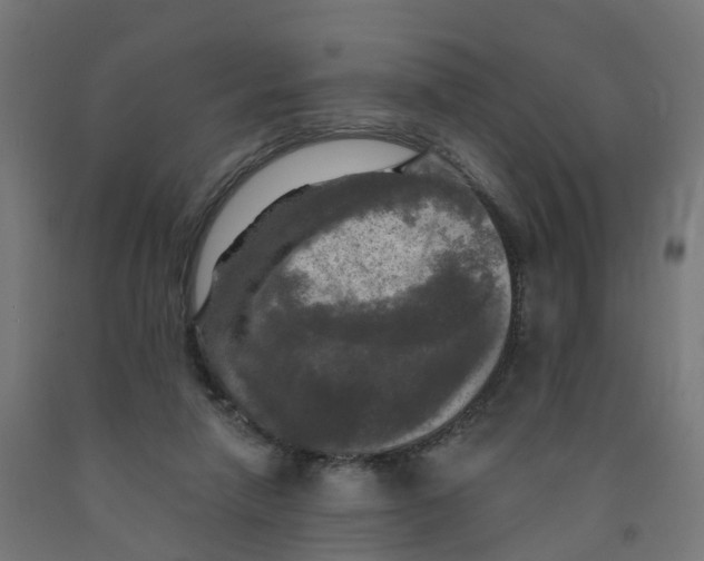 X0000091890258200710031808