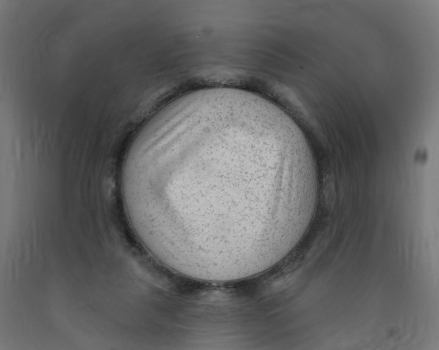 X0000091890259200710031808