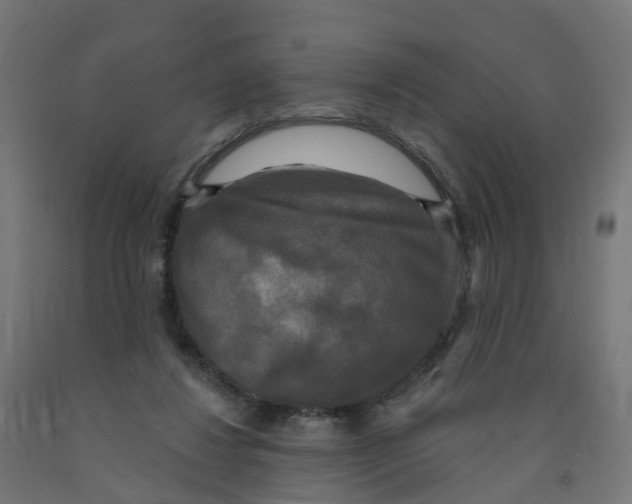 X0000091890260200710031808