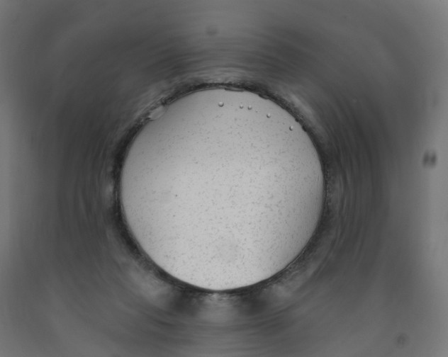 X0000091890261200710031808