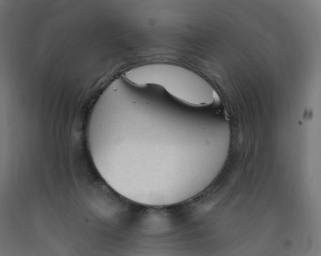 X0000091890263200710031808