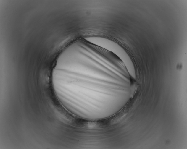 X0000091890264200710031808