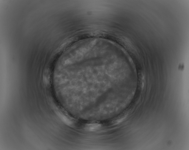 X0000091890266200710031808