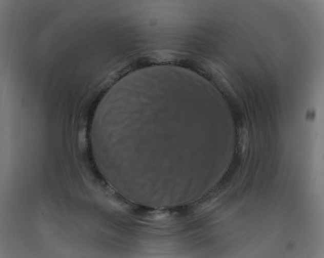 X0000091890267200710031808