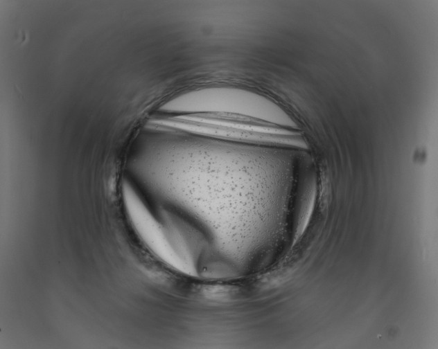 X0000091890268200710031808