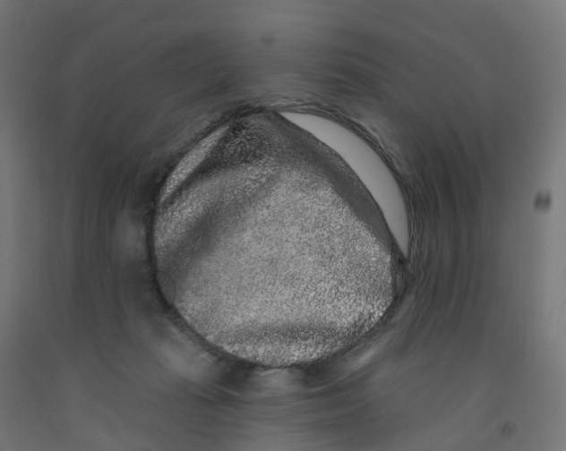 X0000091890269200710031808