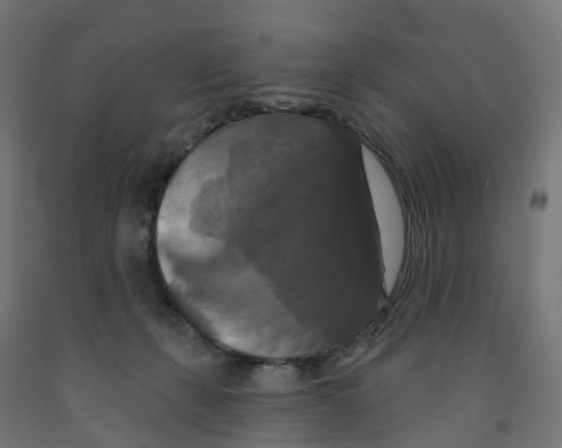 X0000091890271200710031808
