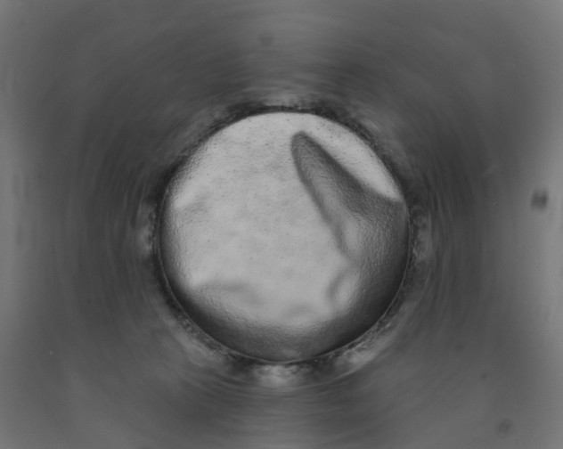X0000091890273200710031808