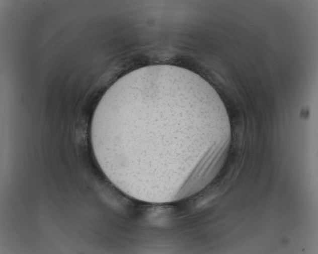 X0000091890274200710031808
