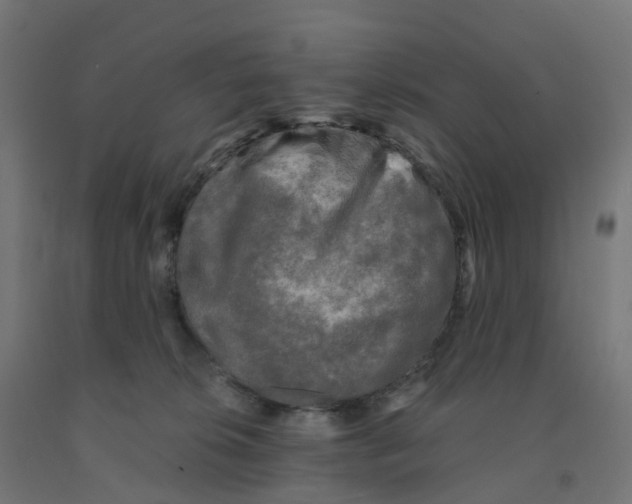 X0000091890276200710031808