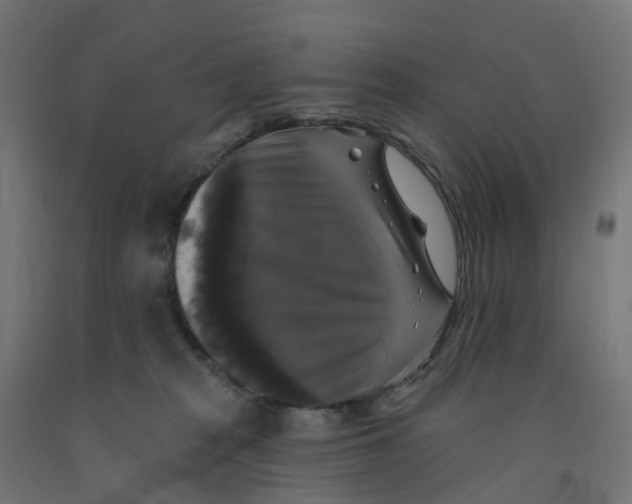 X0000091890277200710031808