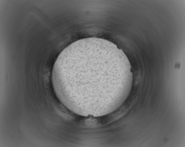X0000091890279200710031808