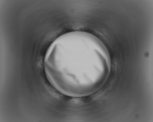 X0000091890280200710031809