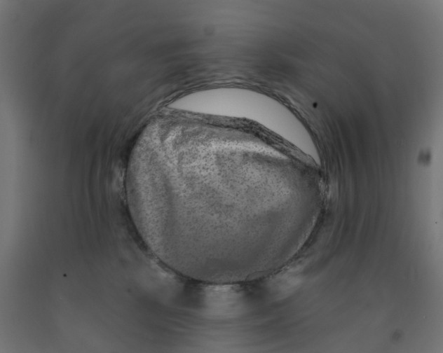 X0000091890281200710031809